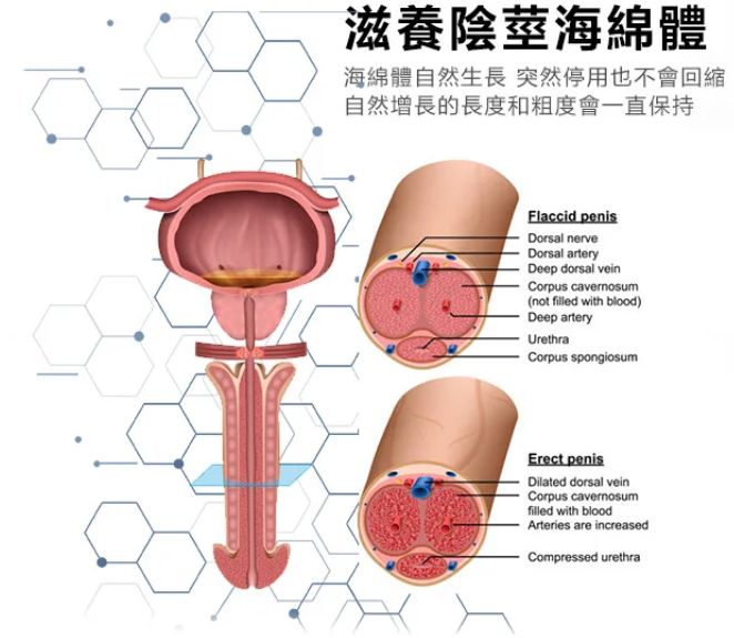1777455104836176.png 企业微信截图_17463548636069.png