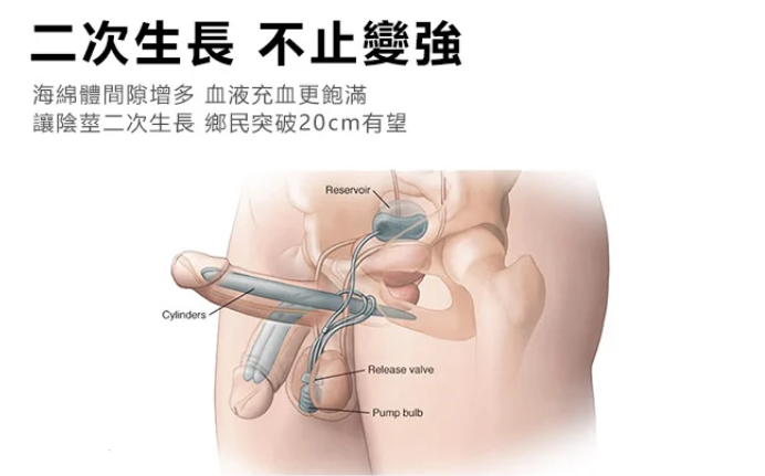 1777455125343564.png 企业微信截图_17463548519289.png